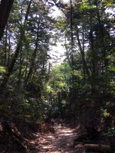登山途中
