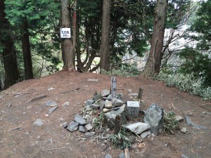 頂上の三角点