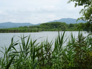 P1000352