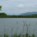 P1000355
