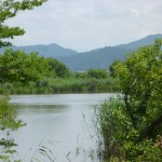 P1000365