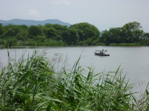 P1000368