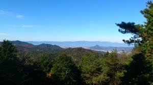 山頂からの景色