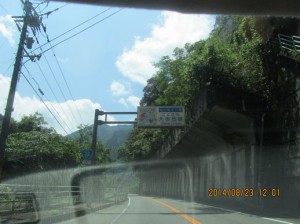IMG_5917