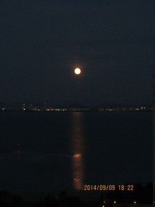 IMG_6179