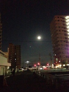 IMG_7689