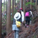 綿向山の日 登山風景