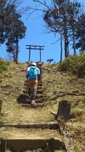 山頂までの階段