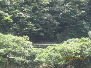 IMG_5921