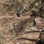 登山道(険しい)