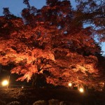 最終IMG_0828