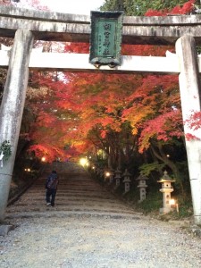 最初IMG_0812