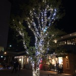 IMG_0734 niwa+ 木