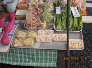 IMG_6045