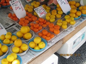 IMG_6047