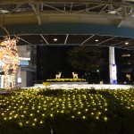 PARCO イルミネーション①