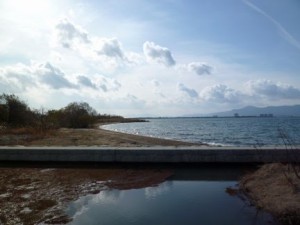 P1000555