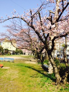 ディジ・テック本社前の公園