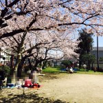 さくら2015②加工