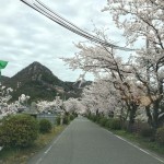 太郎坊宮　参道