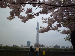 pic20150422_02
