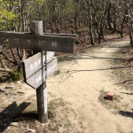 ワサビ峠