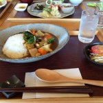 ごろごろ野菜の菜ばカリー