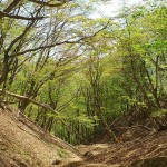 下山　沢