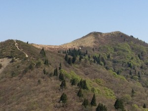 御殿山山頂から