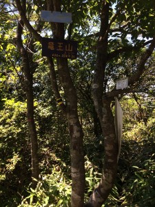 竜王山　山頂