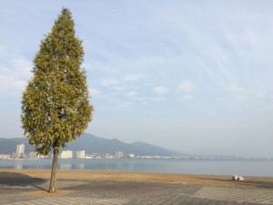 biwako_151030_1