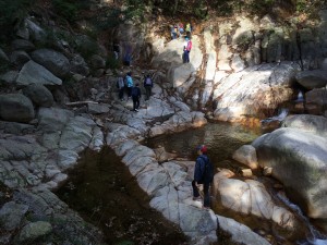 裏登山道 登り始め 加工済み