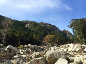 裏道 岩場②
