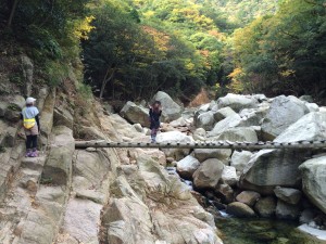 裏道 七の渡し