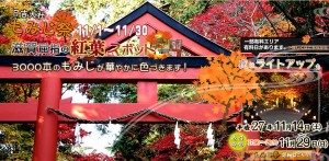 hiyosi_momiji