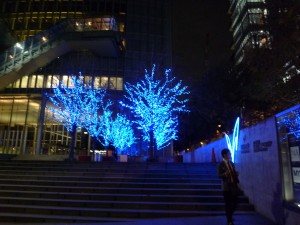 ③P1000802