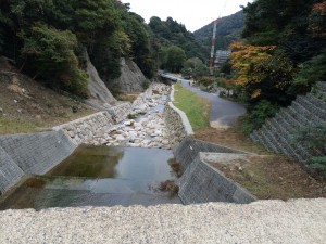 ダムの上から