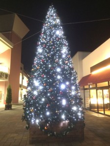 a_square_tree