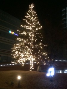 biwako_h_tree