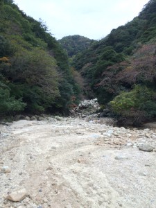川沿い