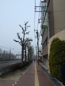 2016年仕事始め1月4日