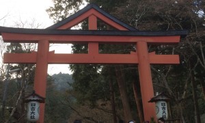 hiyoshi_torii2