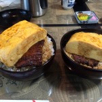 きんし丼 大盛りと普通盛りの中身