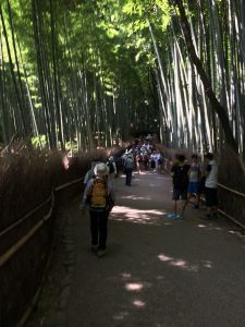 竹林を通って