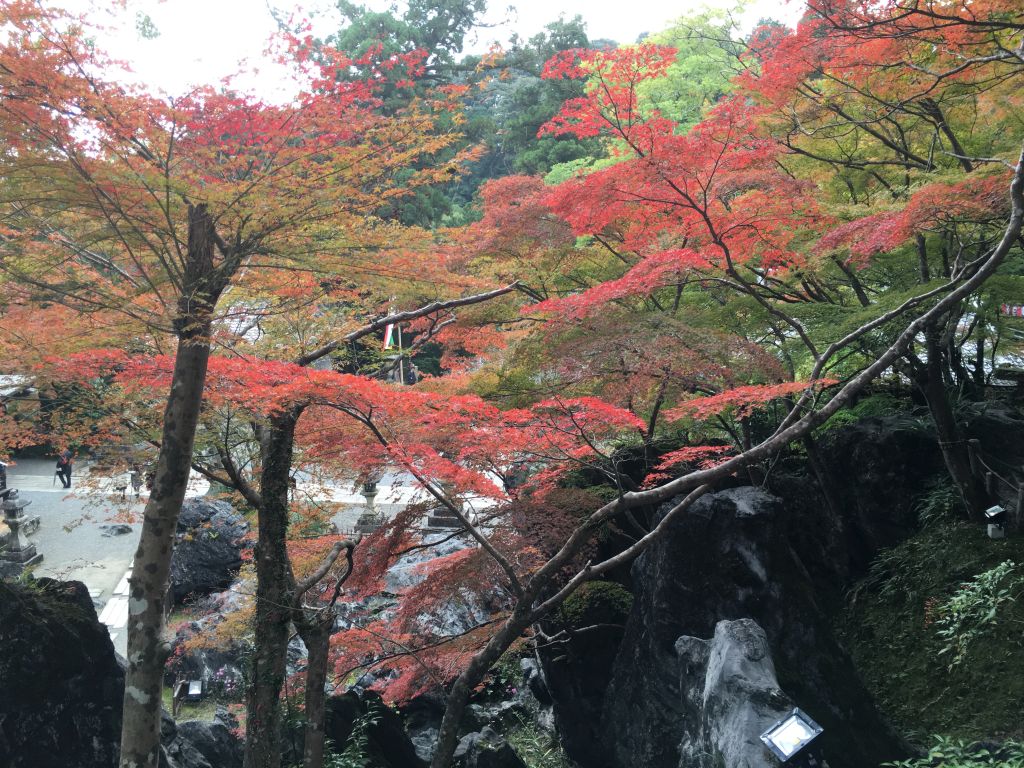 ishiyamadera_8